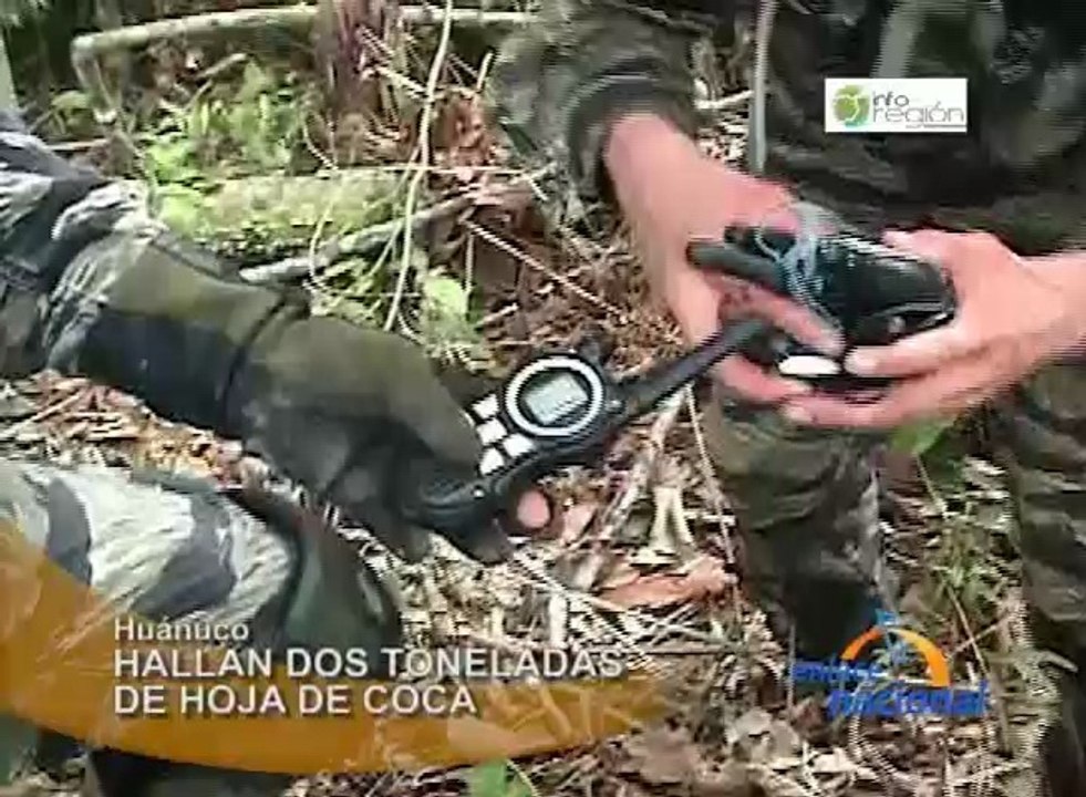 Efectivos especializados, pertenecientes a la Dirandro de Tingo María allanan un almacén de drogas y encuentran dos toneladas de hoja de coca e insumos químicos  y armas en el caserío Los Cedros.