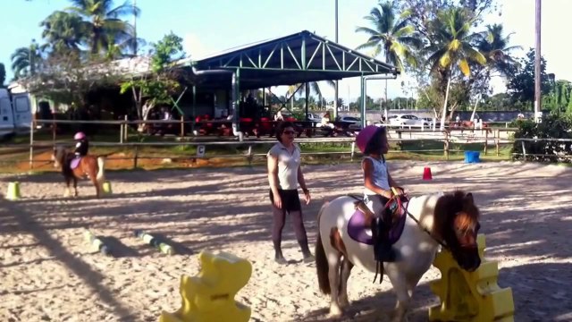 COURS BABY PONEYS AVEC CELINE