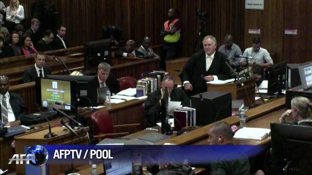 Pistorius' defence grills witness in court