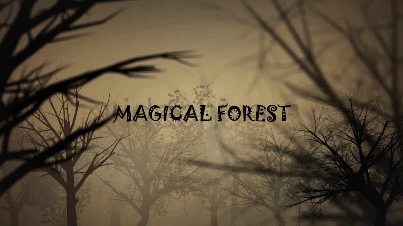 Magical Forest