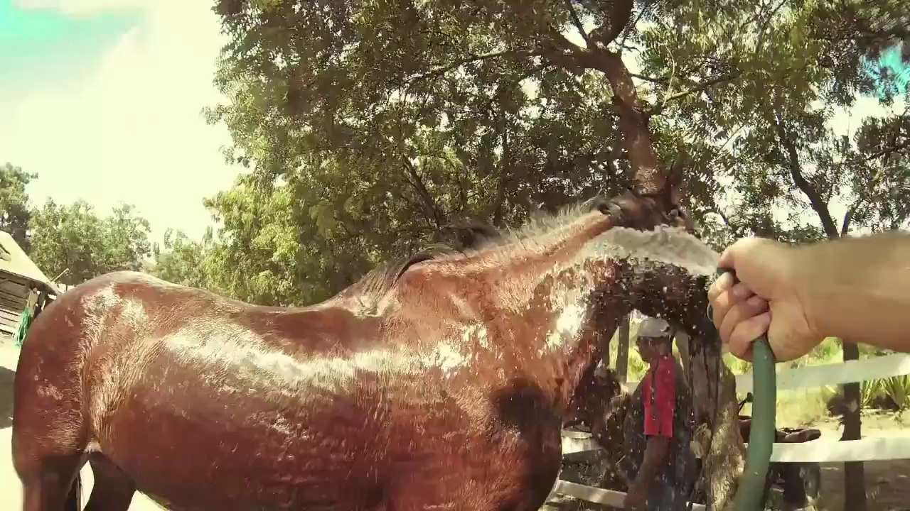 BALLADE A CHEVAL A ANTIGUE