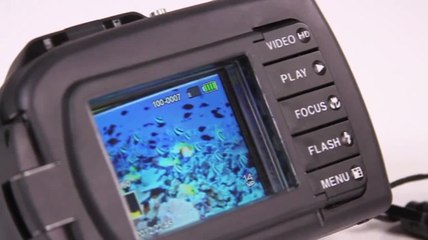 60:Second ScubaLab - SeaLife DC1400 Pro Duo