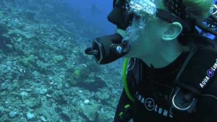 A Scholar's Year in Video: Megan Cook