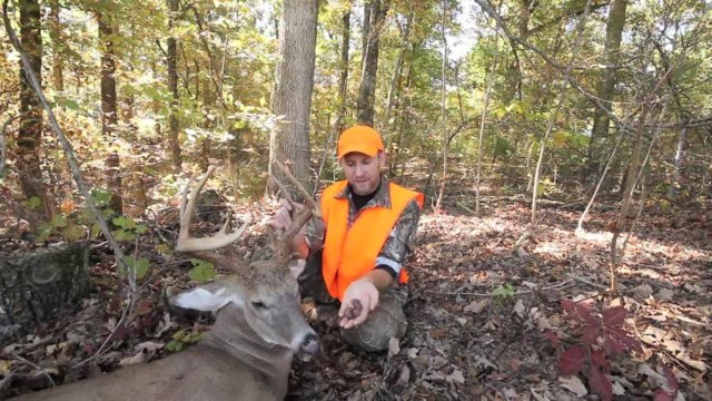 How Weather Impacts Deer Movement