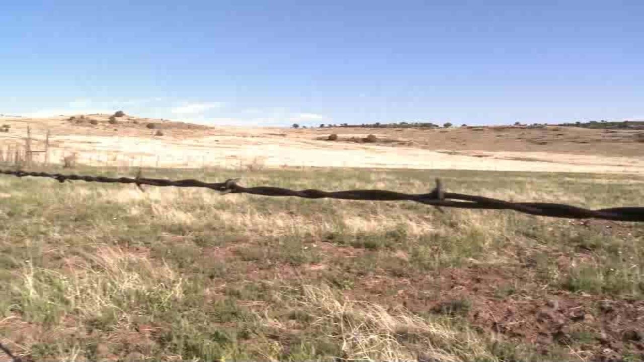 Hero for a Day 2013: Saving Mule Deer and Pronghorn Fawns in Arizona