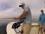 Nonstop Shark Action off Maine for Blues and Threshers