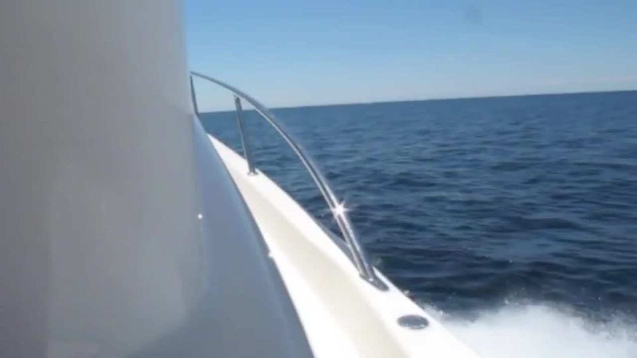 Maritimo On Board