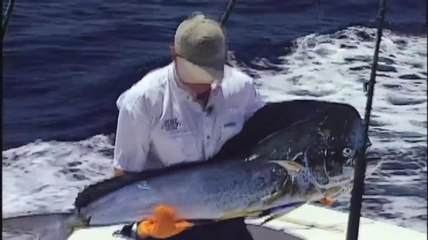 Best of Los Cabos