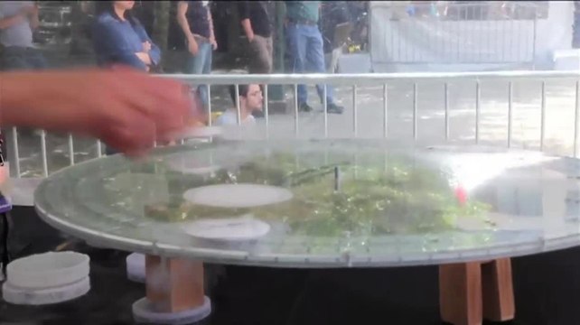 World Science Levitation