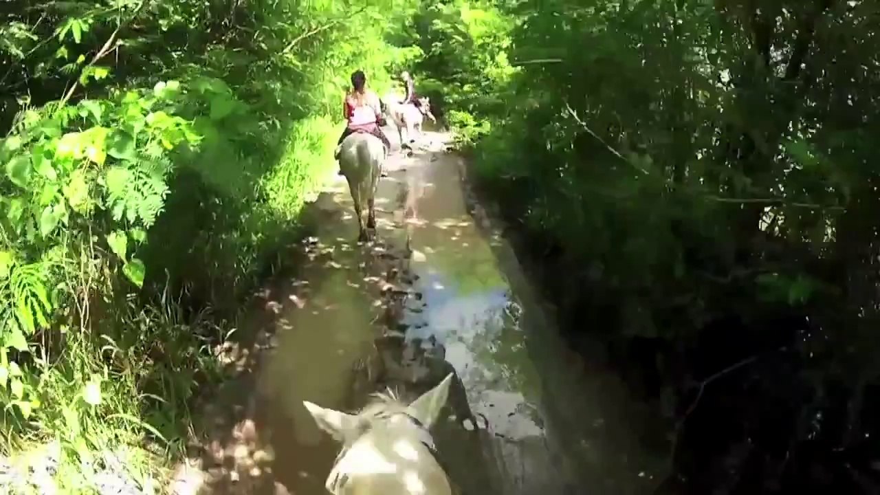 RANDONNEE EQUESTRE A SAINT FRANCOIS