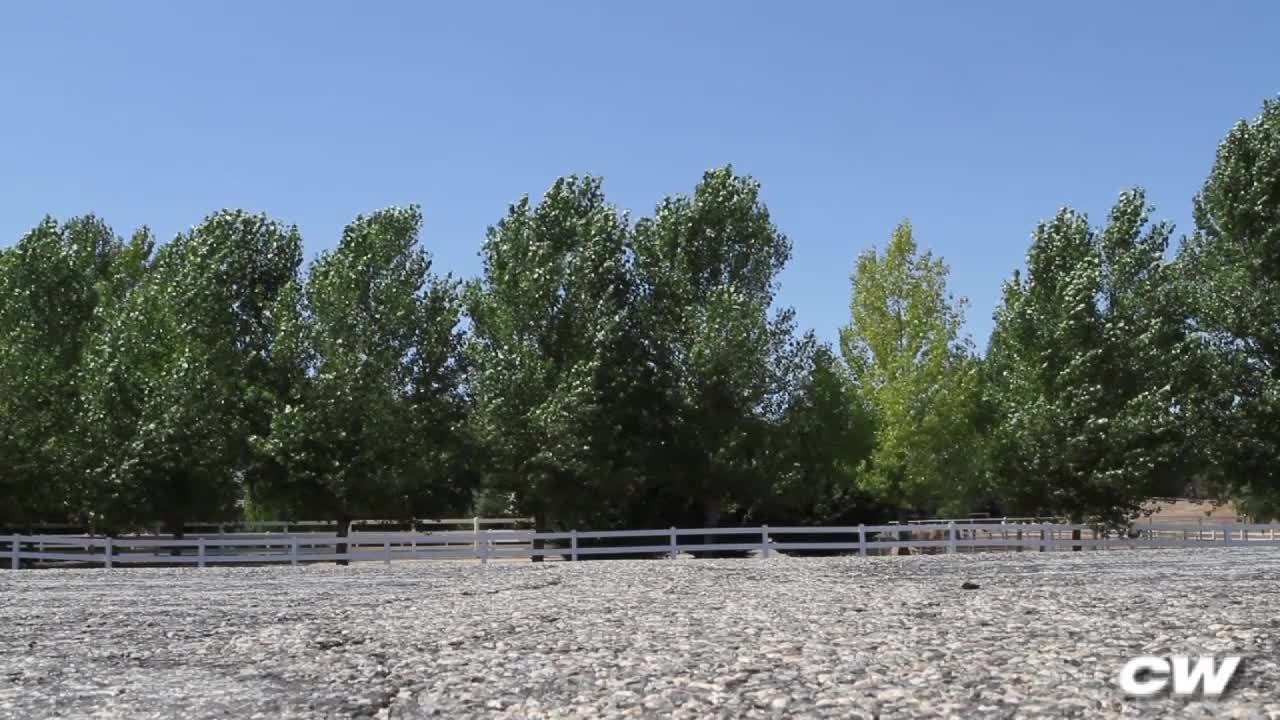 2011 Kawasaki ZX-10R - First Look