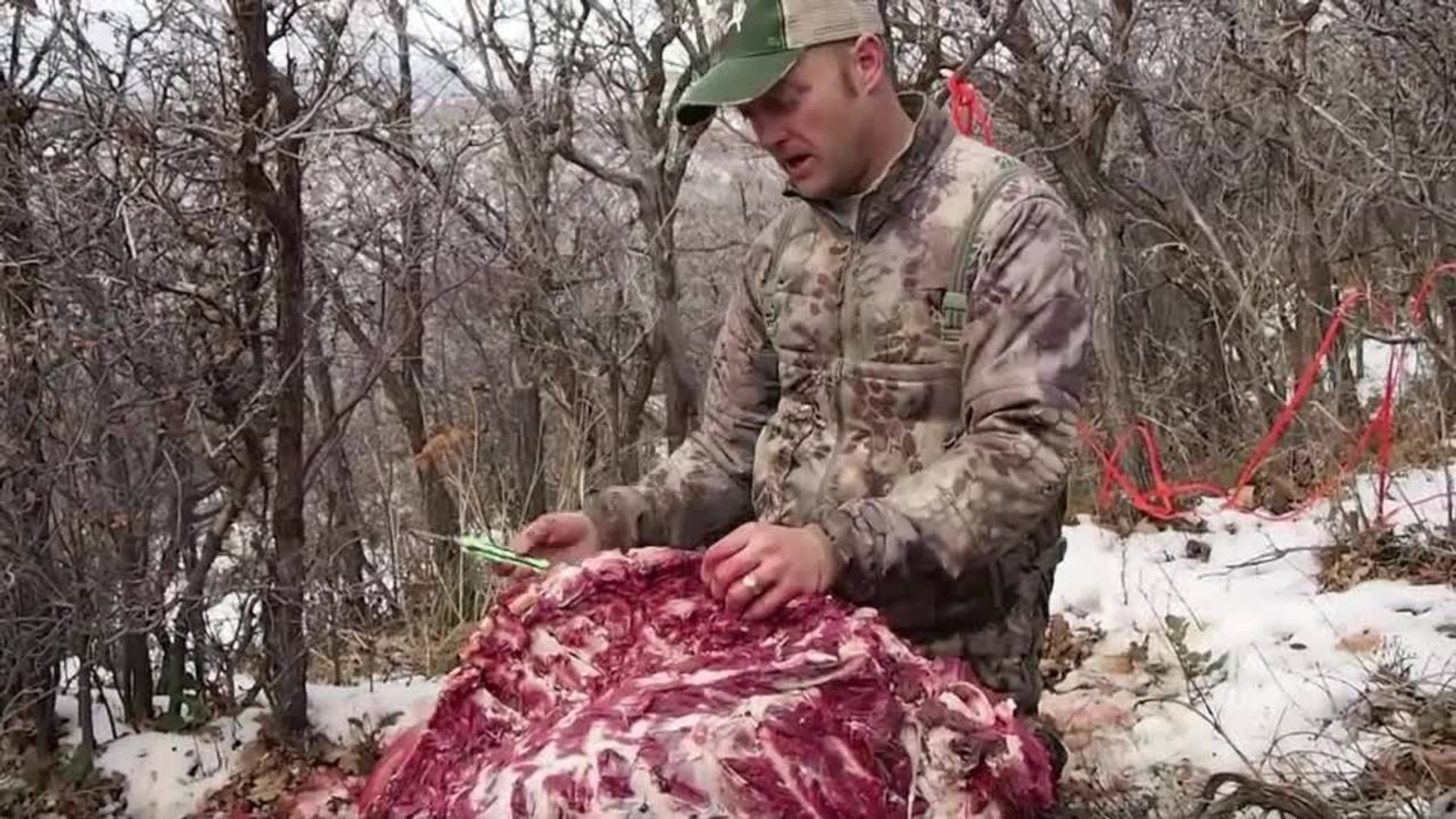 ⁣Shot Placement on Elk