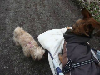 Inika reste près de Tricky