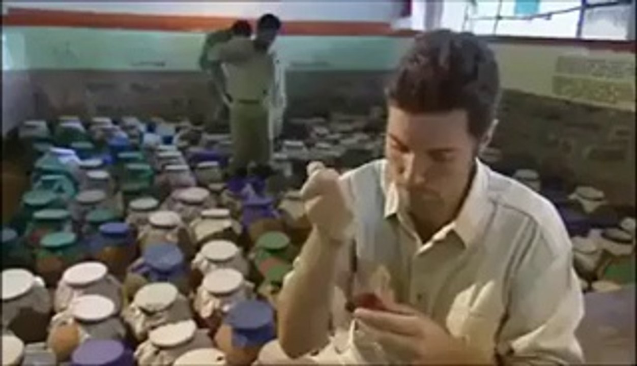 What Happen When Snakes Bite Human