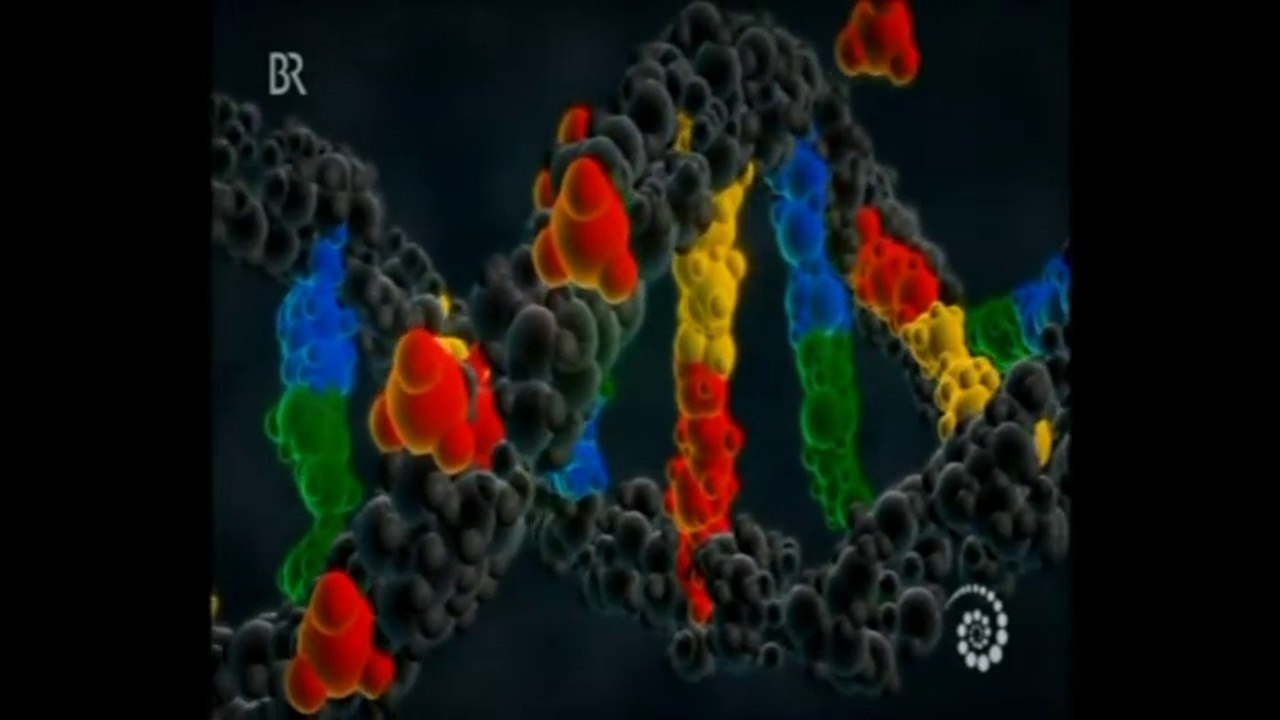 Epigenetik - Gen-Schalter - by ARTBLOOD