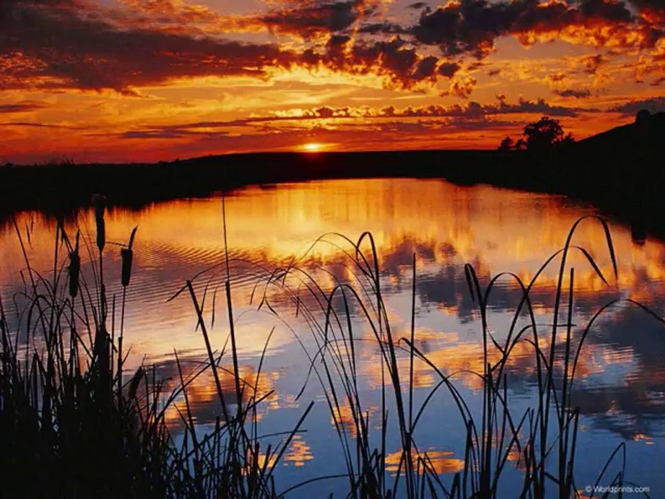 نشيد    سوف نبقى هنا    جميل جدا و رااائع !!