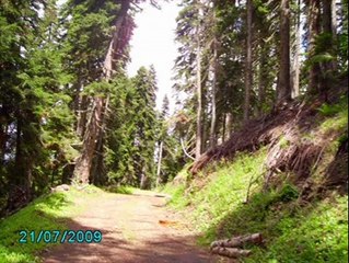 Mahmut Turan - Hemşin [HQ]