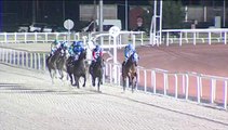 03.03.2014 Mons (BEL) 5.Rennen Prix Forest - Verkaufsrennen 2.100 m