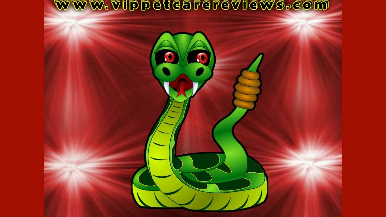 Pet Care Snake Species Facts And Information Pet Care