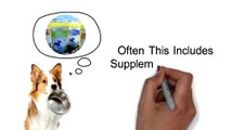 Joint Supplements for Dogs - The Most Effective Uncovered