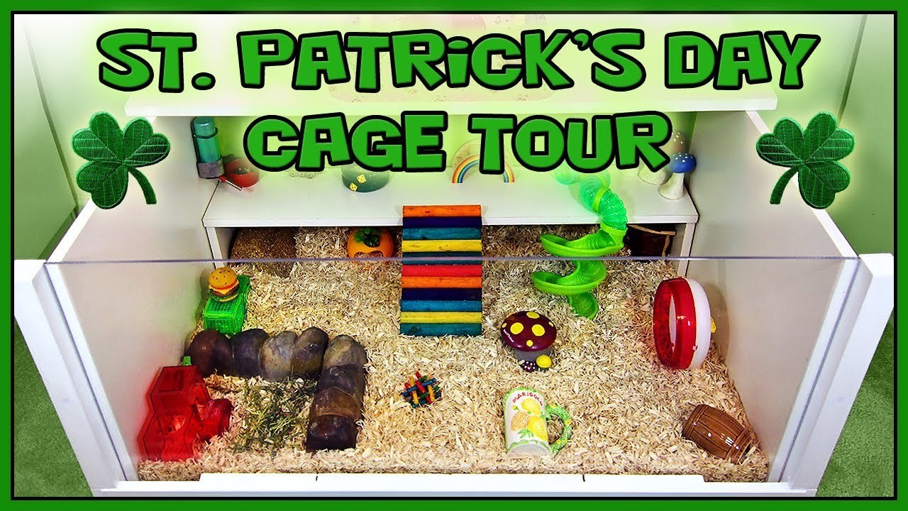 Streudel's St Patrick's Day Cage Tour - 2014