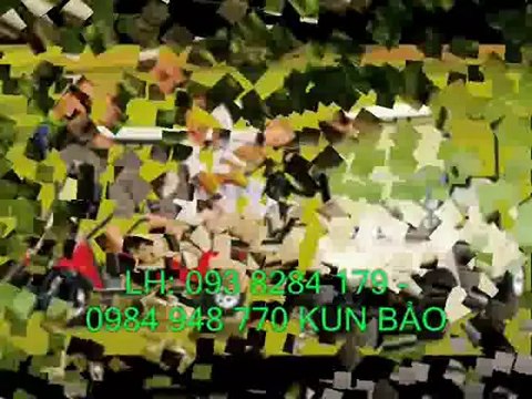 xe điện chở khách du lịch 8 chỗ , xe dien cho benh nhan