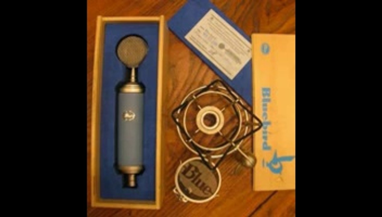 Blue Microphones Bluebird Cardioid Condenser Microphone