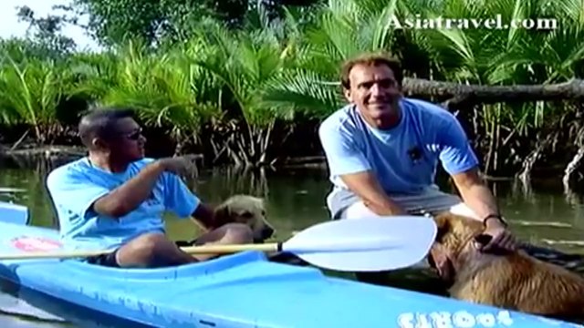 Iyara Resort, Koh Chang Thailand by Asiatravel.com