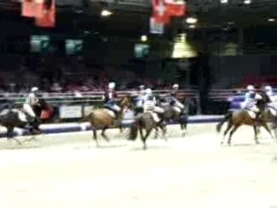 Horse ball salon du cheval