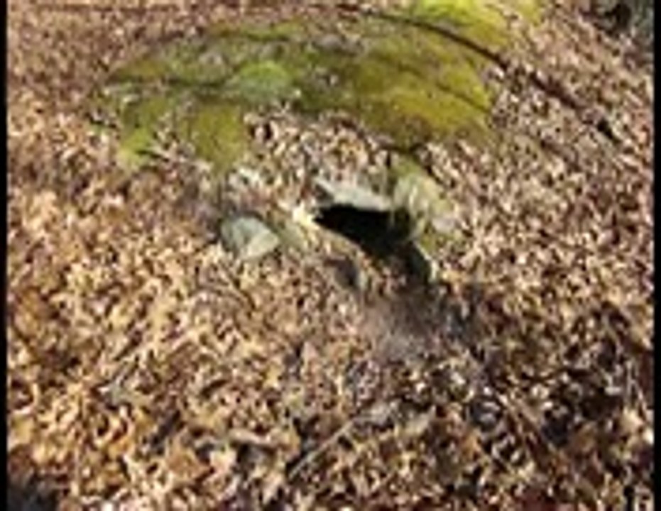 Mysterious Stone Chambers & Giants Discovered in New England- Jim Vieira