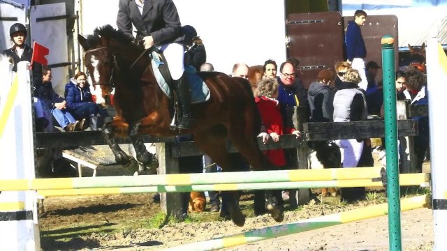 Concours à Miribel le Dimanche 2 Mars 2014