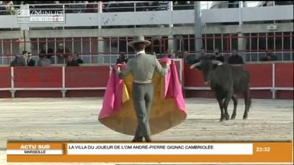 Manifestation anti corrida à Saint-Gilles