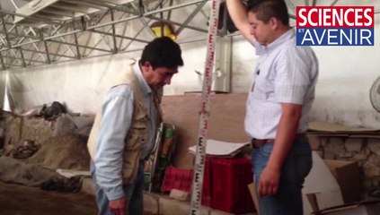 Les entrailles de Quetzalacoatl la pyramide du Serpent à plumes