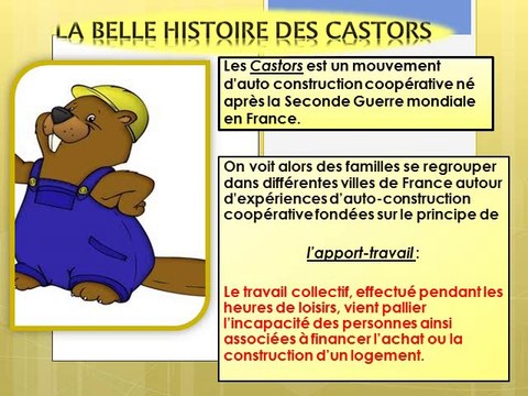 Qu'est ce que les CASTORS? Petite explication en vidéo