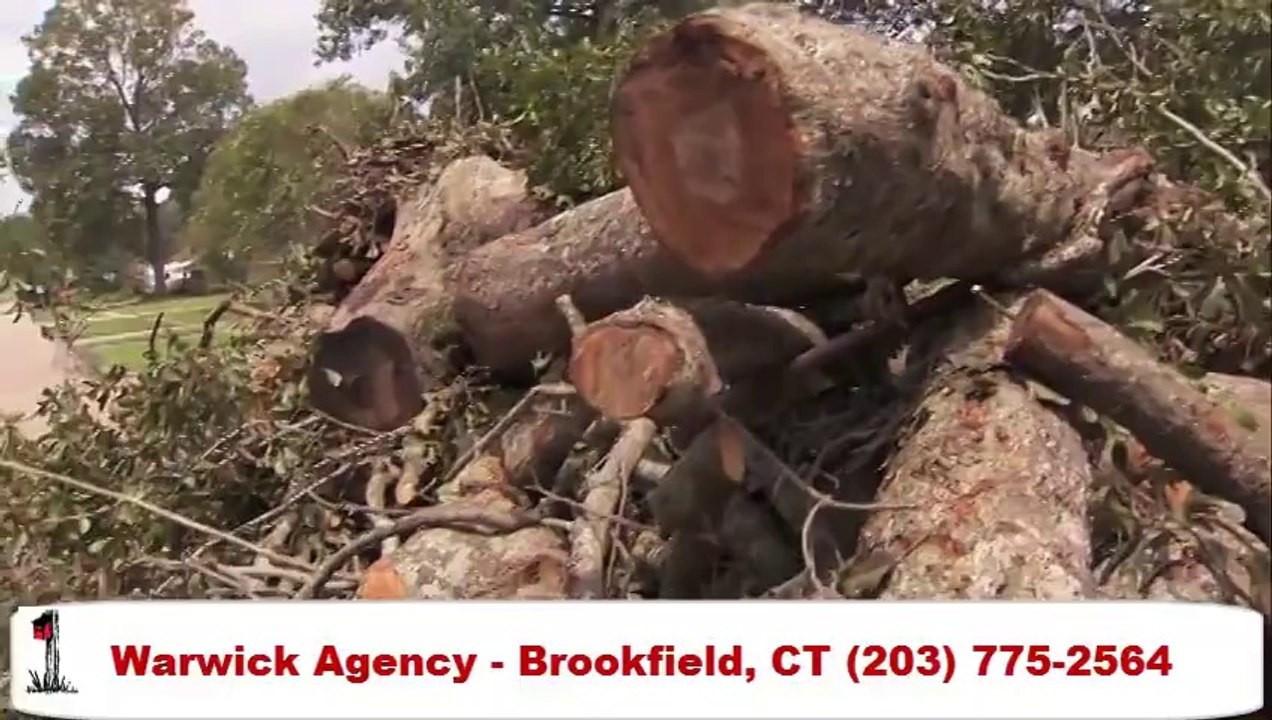 Warwick Agency Home Insurance in Brookfield CT