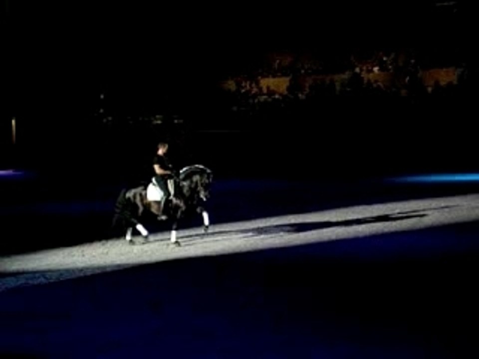 cheval espagnole sur la piste