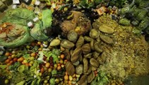 Global gachis - Le scandale mondial du gaspillage alimentaire (extrait)