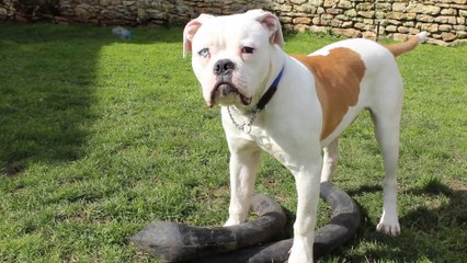 test video avec arkos 6 mois demain