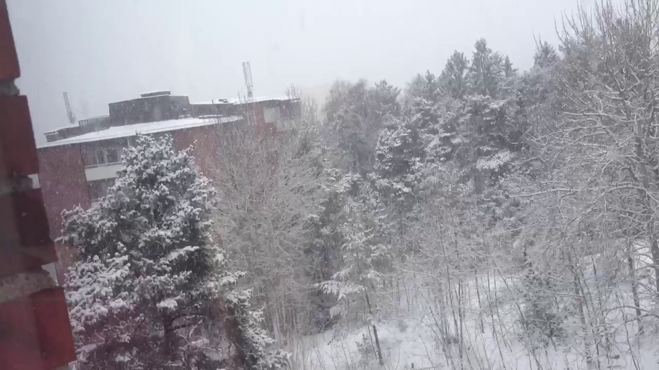 Snow nieve 2014