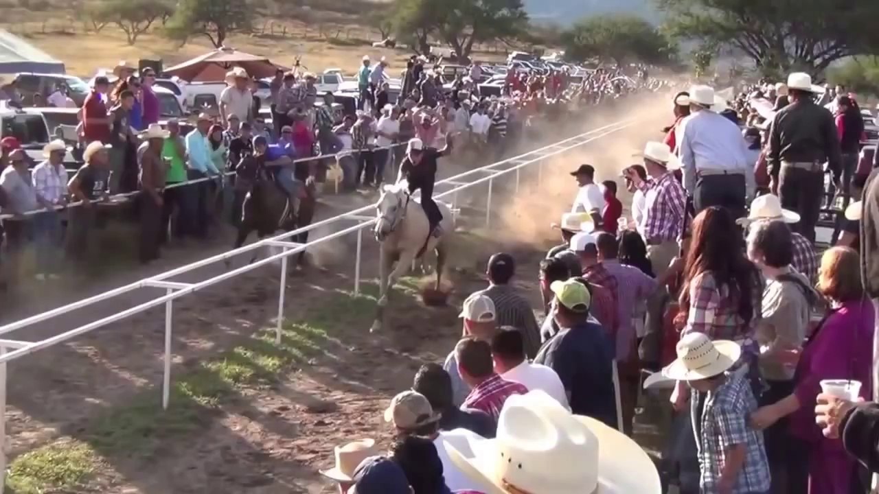 COURSE TRADITIONNEL DE CHEVAUX A CUBA