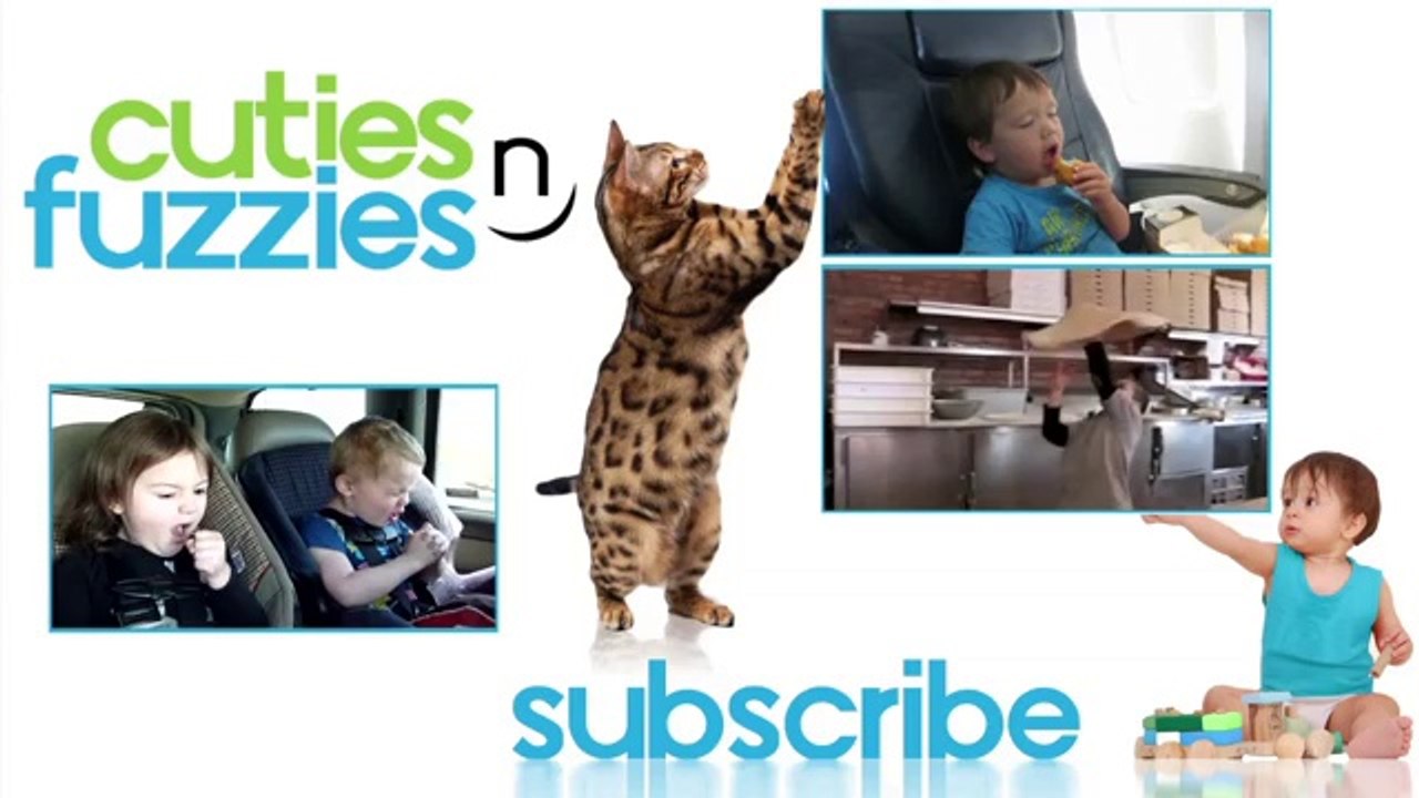 Niedlicher Igel liebt es gekrault zu werden