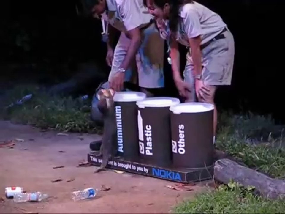 Otter bei der Mülltrennung