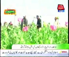 Larkana Operation against criminals, 5 arrested