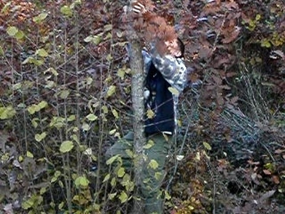 Decimator le tueur d'arbre