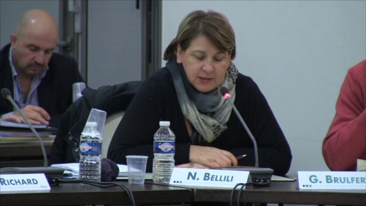 CM 18/11/13 - 17 - Présentation des rapports d’activités des Etablissements Publics de Coopération Intercommunale (EPCI) pour l’année 2012