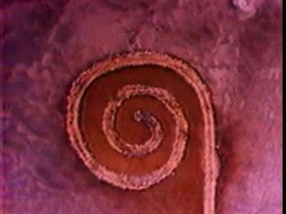 Smithson-Robert_Spiral-Jetty-Excerpts-19