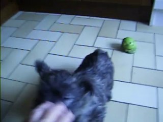 Jaudy et la balle verte