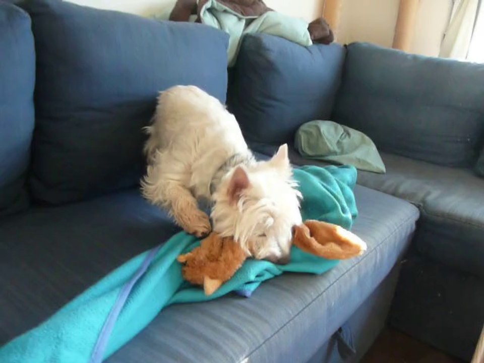 April et son joujou renard....pauvre renard!