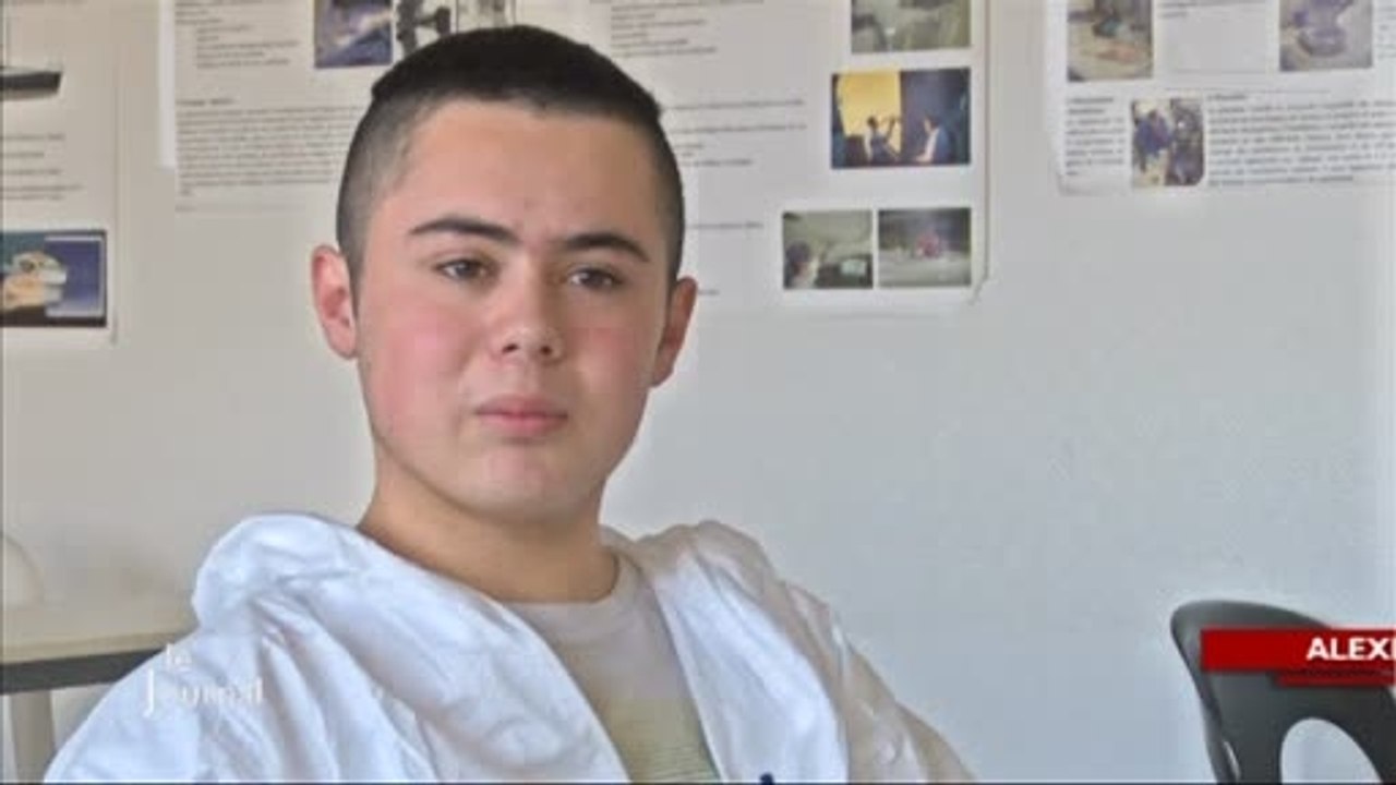 Dispositif d'Initiation aux Métiers par Alternance (DIMA)