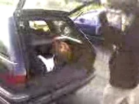 Sifflements innocent